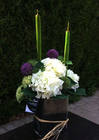 Hortensia, Allium &amp;amp; joncs